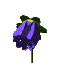 Blue Flower